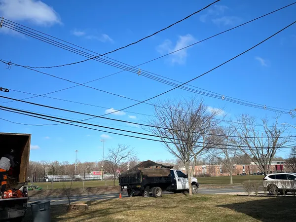 The same roadside after the removal, with the utility spans running through clear sky, the ladders down on the grass and the dump truck loaded.